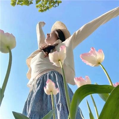 僵尸高校4：吸血鬼黎明